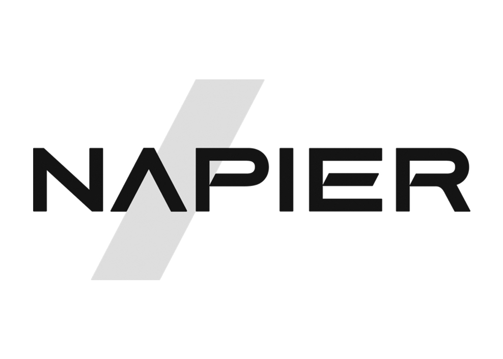 Qualiware - Napier Logo - 19